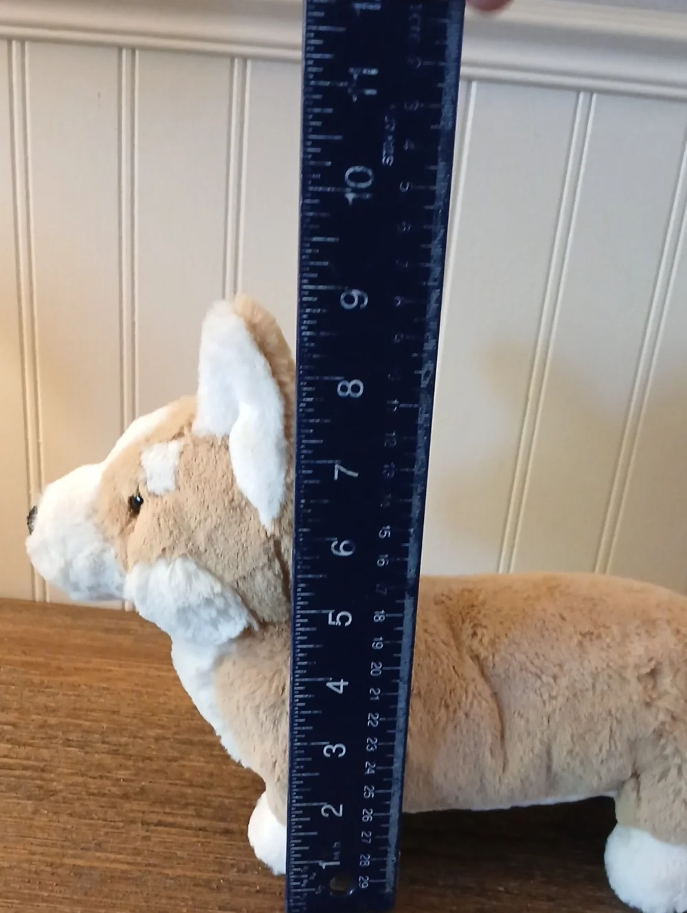 Jellycat Betty Corgi soft Tan/white Plush Dog Corgi Stuffie, Dog Plusie
